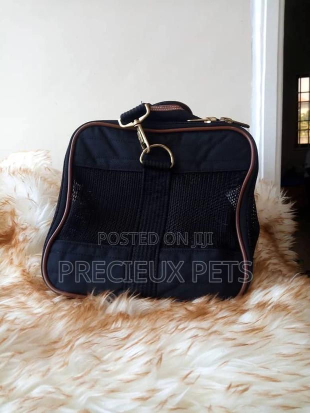 Cats And Dogs Mobile Bags Black · Photo 2