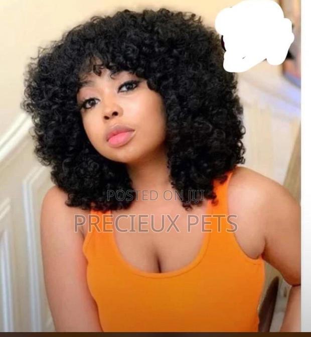 Virgin Wig · Photo 1