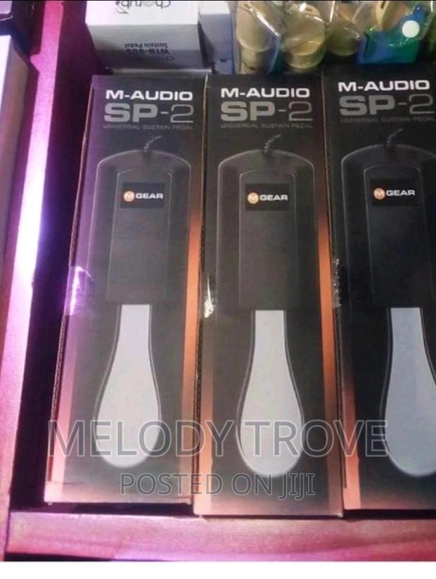 M-audio Sustain Pedal · Photo 2