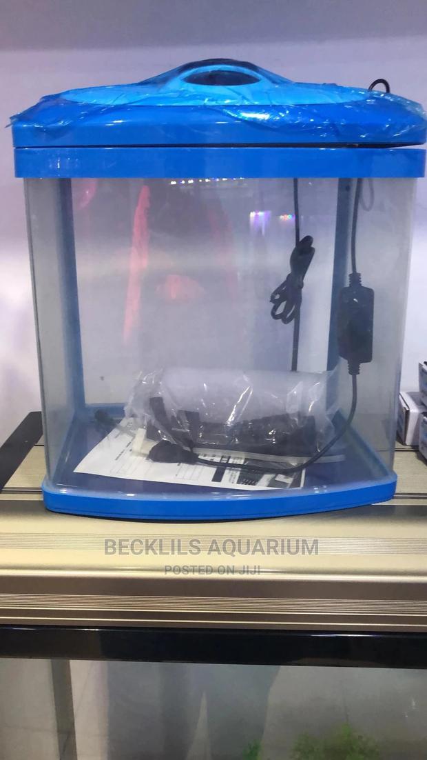 Imported Aquarium