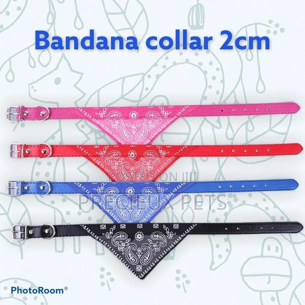 Bandana Collar 2cm for Puppies · Photo 4
