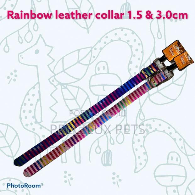 Rainbow Leather Collar for Puppies and Adults · Photo 2