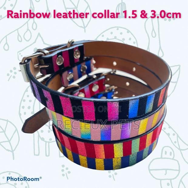 Rainbow Leather Collar for Adult Toy Dogs · Photo 2