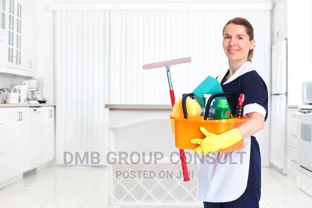 Professional Cleaners in Town · Photo 2