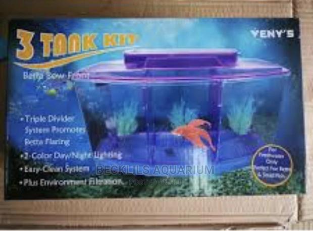 Mini 3 in 1 Aquarium Tank · Photo 3