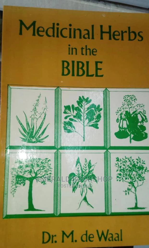 Magical Books · Photo 3