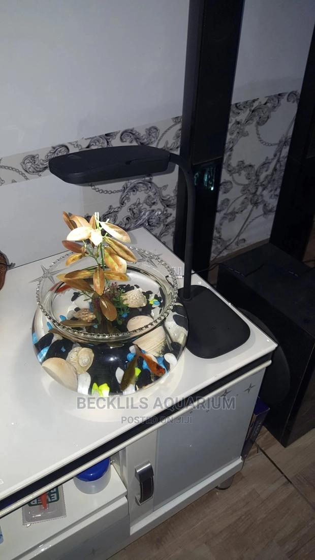 Mini Aquarium Fish Bowl · Photo 4