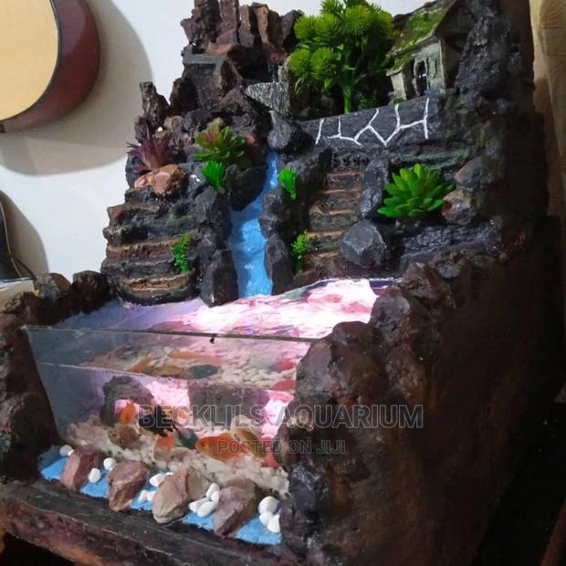 Aaqurium House · Photo 3