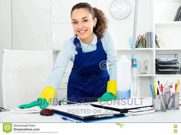 Professional CLEANER · Photo 4