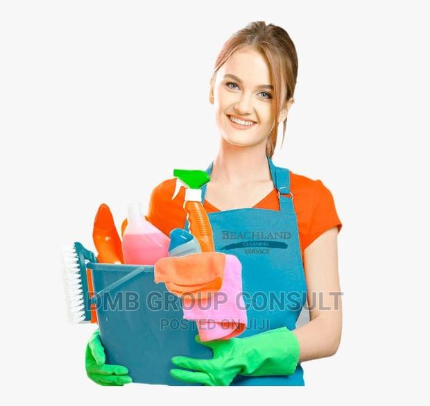Professional CLEANER · Photo 3