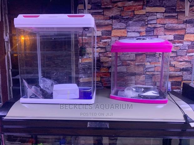 Imported Aquarium