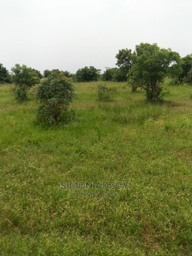 Farm Land for Lease