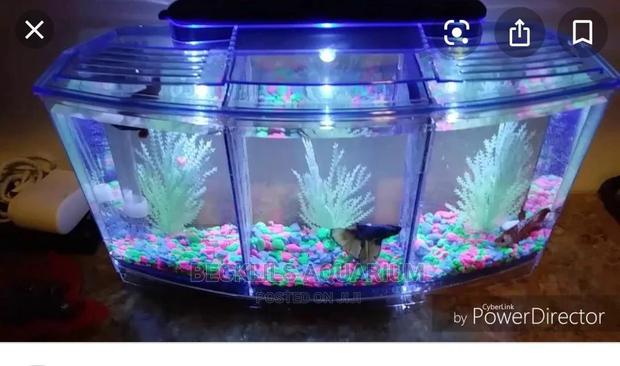 Mini 3 in 1 Aquarium Tank · Photo 4