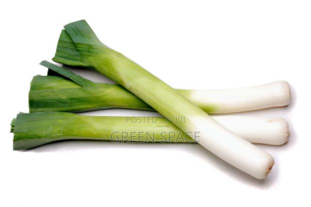 Leek Seeds photo 2