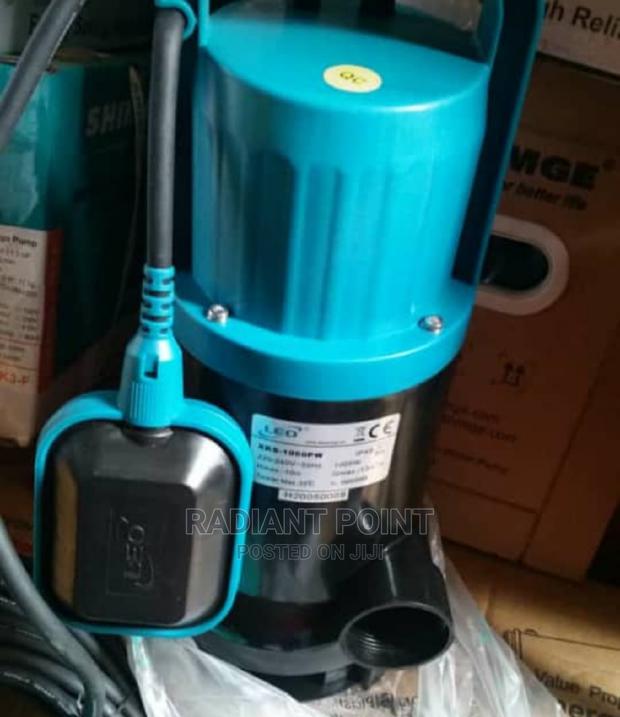 Leo Submersible Water Pump 1.3horse Power · Photo 2