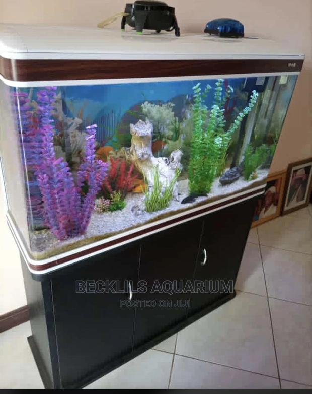 Aquarium Tank · Photo 3