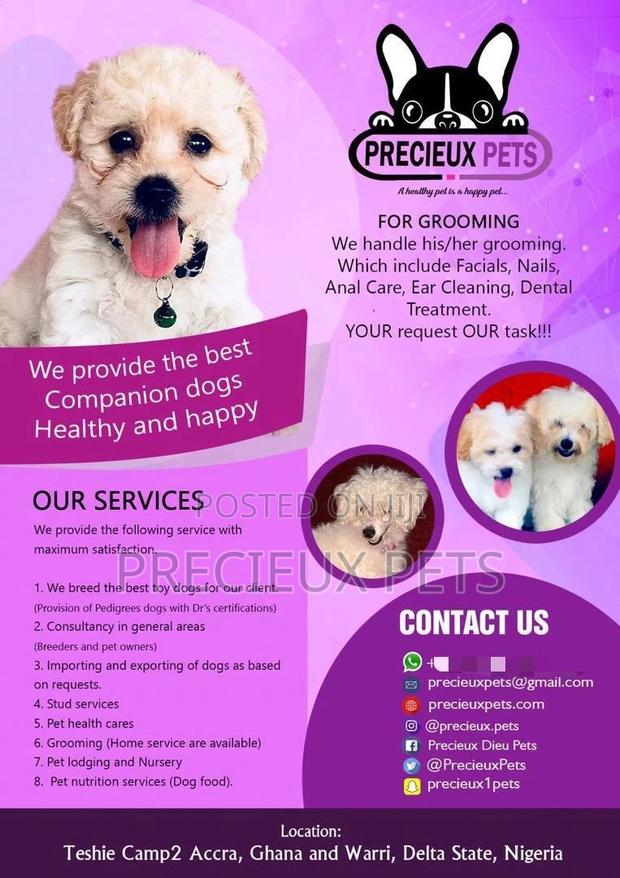 Grooming, Pet Nutrition, Lodging, Consultants · Photo 3