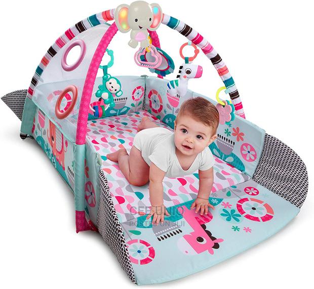 Activity Gym and Ball Pit · Photo 2