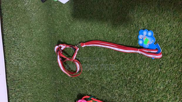 Toy Dog Harness · Photo 4