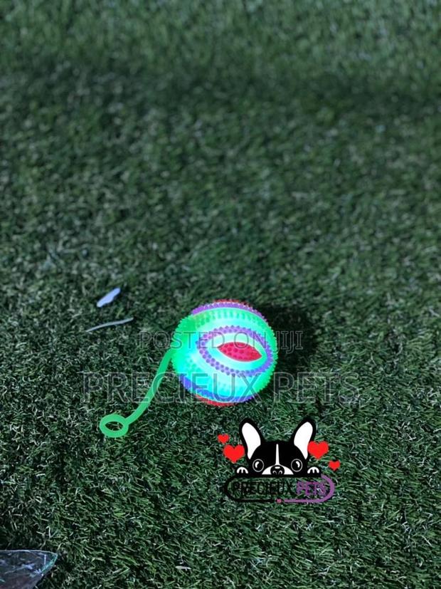 Led Display Toys for Dogs · Photo 4