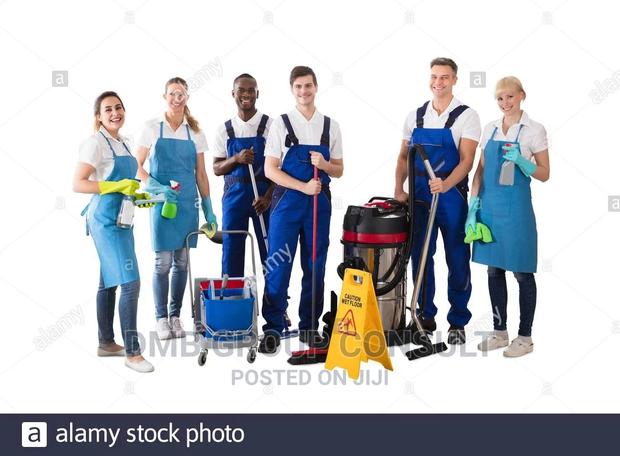 We Do Cleaning/ We Are Cleaners · Photo 3