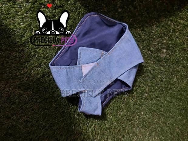 Dogs Harness Serial No. 2021/0003 · Photo 3