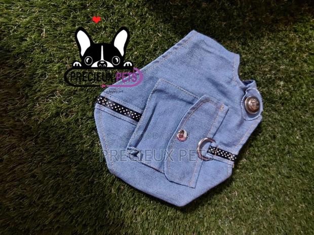 Dogs Harness Serial No. 2021/0003 · Photo 4