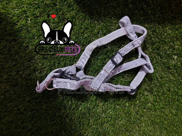 Dogs Harness Serial No. 2021/0004 · Photo 3