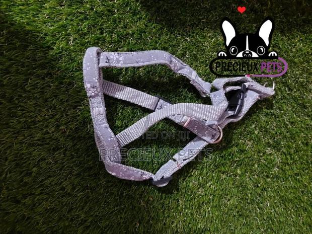 Dogs Harness Serial No. 2021/0004 · Photo 4
