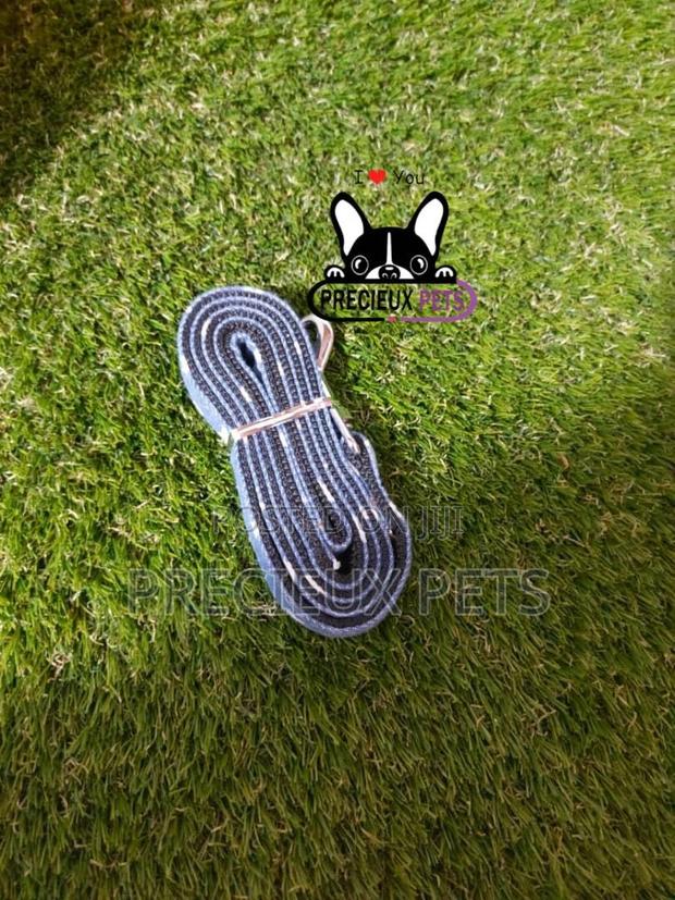 Dogs Harness Serial No. 2021/0005 · Photo 3