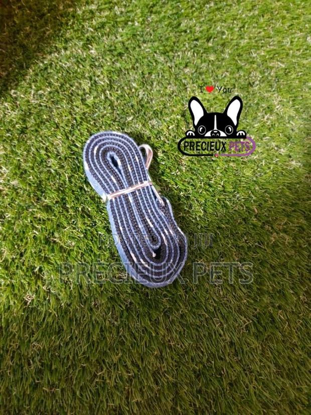 Dogs Harness Serial No. 2021/0005 · Photo 4