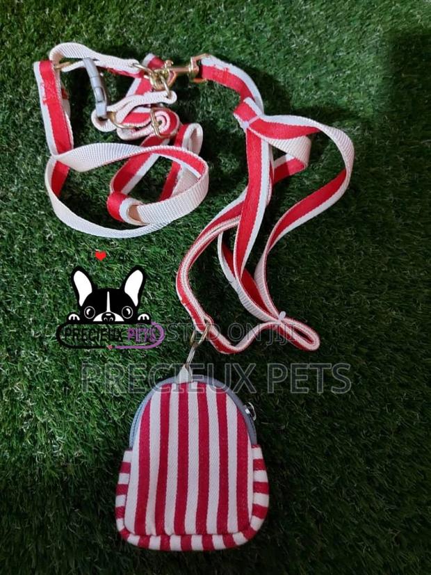 Dogs Harness Serial No. 2021/0006 · Photo 3