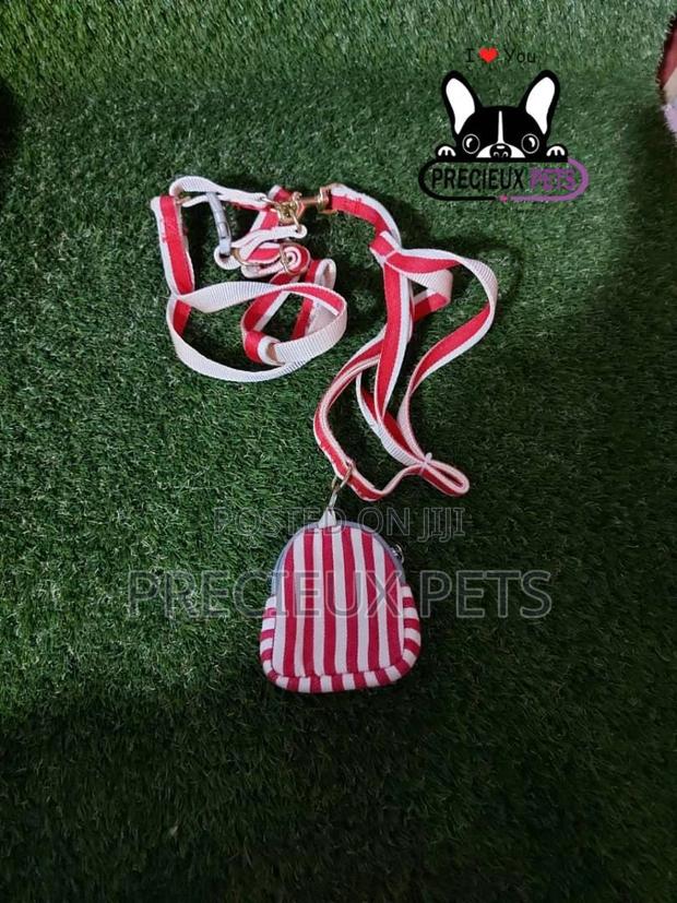 Dogs Harness Serial No. 2021/0006 · Photo 4