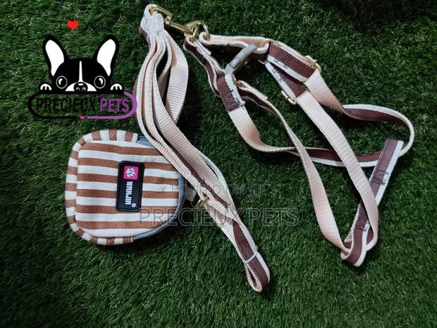 Dogs Harness Serial No. 2021/0007 · Photo 3