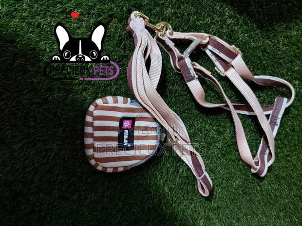 Dogs Harness Serial No. 2021/0007 · Photo 4