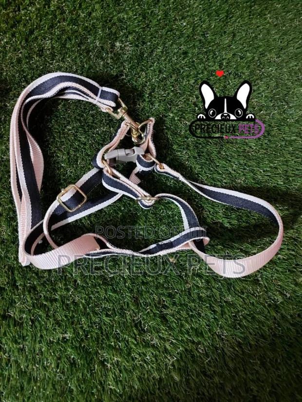 Dogs Harness Serial No. 2021/0009 · Photo 3