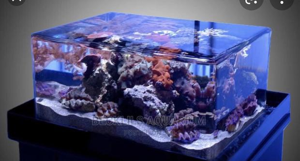 Package Aquariums