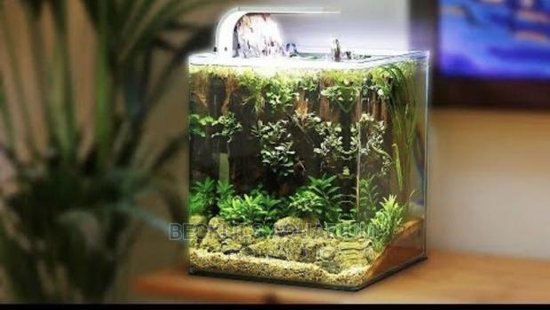 Package Aquariums