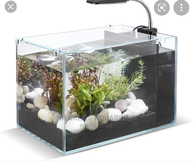 Package Aquariums