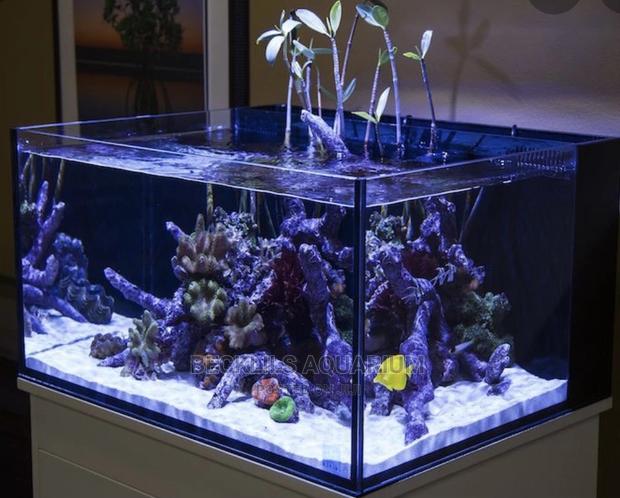 Package Aquariums