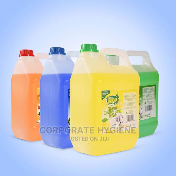 Hand and Dish Soap (4l)