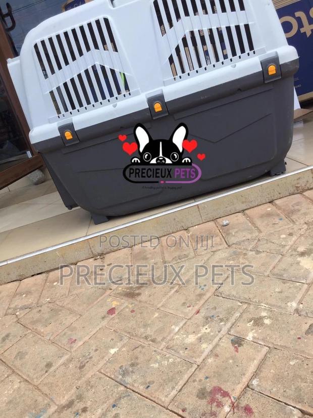 Large Breed Cage for Dogs · Photo 4