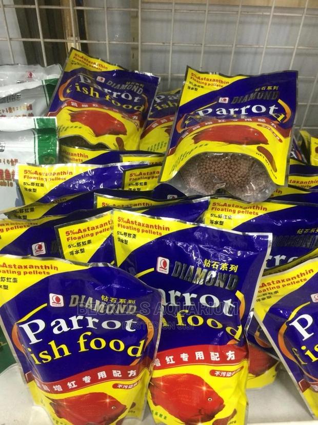 Gold Fish and Koi Feed