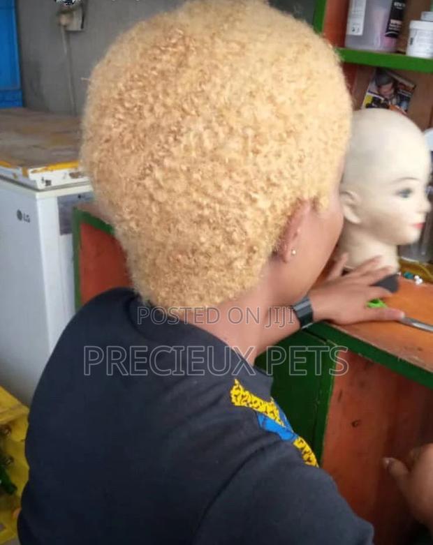 Venus Hair · Photo 1
