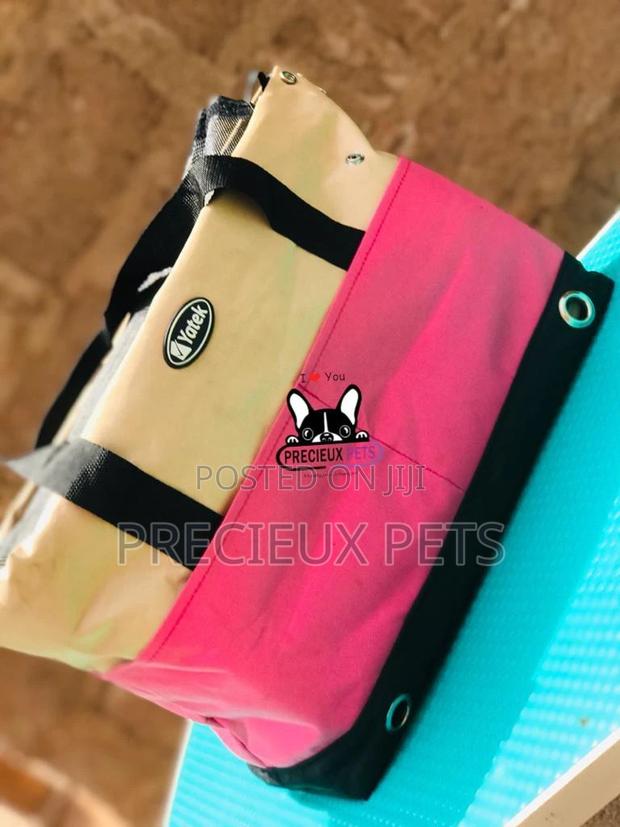 Mobile Toy Dog Bag Series 2021-2 · Photo 4