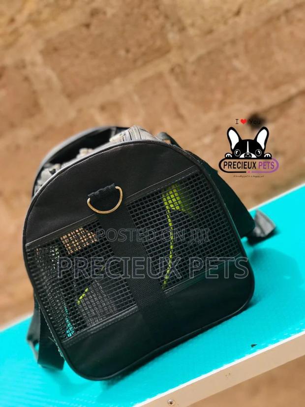 Mobile Toy Dog Bag Series 2021-3 · Photo 2