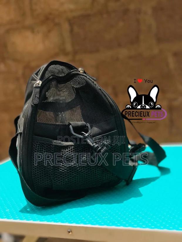 Mobile Toy Dog Bag Series 2021-5 · Photo 2