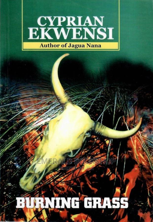 Burning Grass · Photo 1