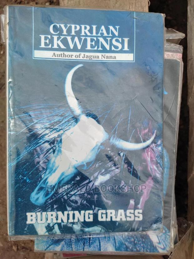 Burning Grass · Photo 2
