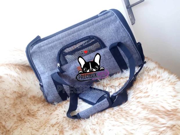Mobile Toy Dog Bag Series 2021-13 · Photo 2